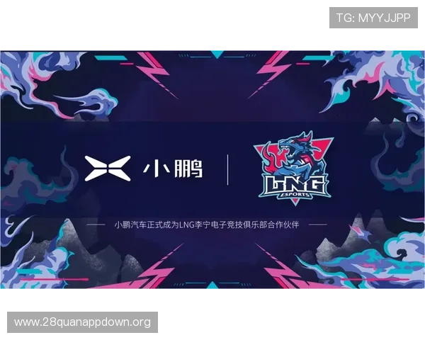 RT电子游戏平台的最新优惠活动与促销信息全面汇总指南