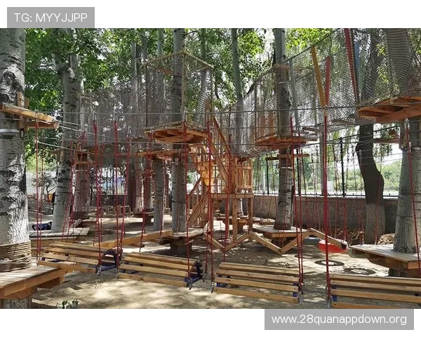 南宫体育官网入口官方平台游戏社区交流与玩家互动平台介绍